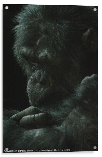 The Chimp Acrylic by Barclay Brown
