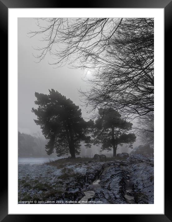 Misty Winter Morning Framed Mounted Print by Jaxx Lawson