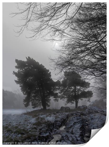 Misty Winter Morning Print by Jaxx Lawson