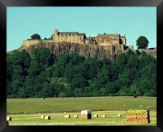 Stirling Castle , Stirling, Scotland Framed Print by Photogold Prints