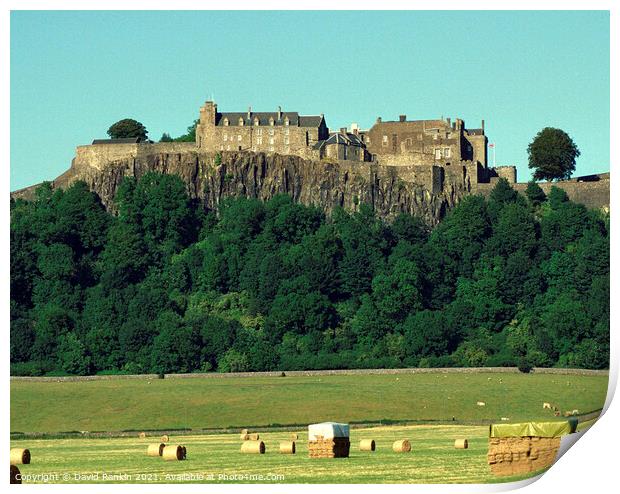 Stirling Castle , Stirling, Scotland Print by Photogold Prints