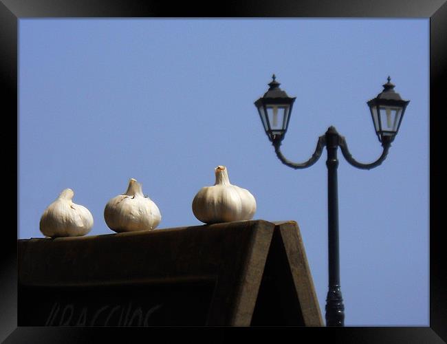 Garlic Lamp Framed Print by Karen Martin