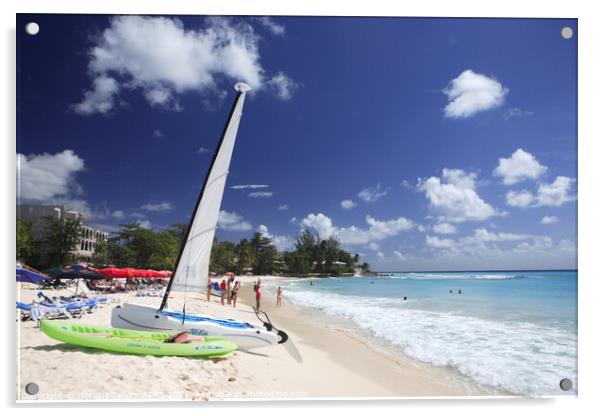 Dover beach, Southern Barbados, Caribbean Acrylic by Geraint Tellem ARPS