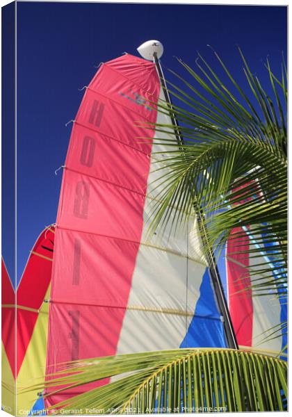 Catamaran sails near Port St Charles, west coast, Barbados Canvas Print by Geraint Tellem ARPS