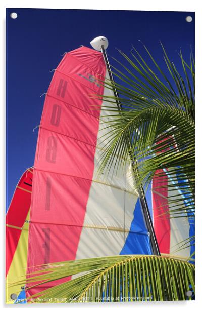 Catamaran sails near Port St Charles, west coast, Barbados Acrylic by Geraint Tellem ARPS