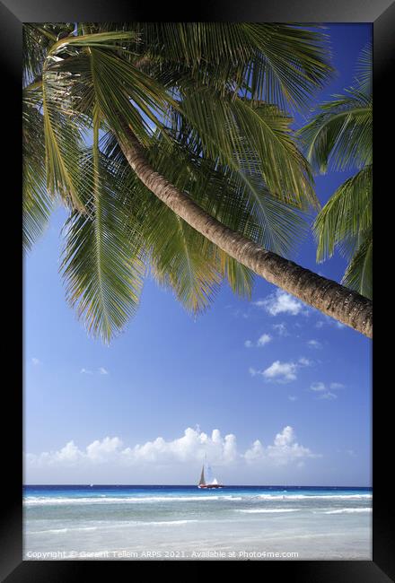Beach scene, Southern Barbados, Caribbean Framed Print by Geraint Tellem ARPS