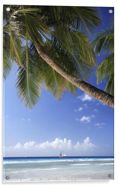 Beach scene, Southern Barbados, Caribbean Acrylic by Geraint Tellem ARPS