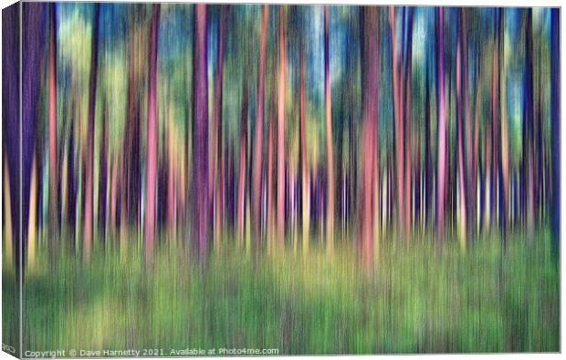 Through the Pines 2 Canvas Print by Dave Harnetty