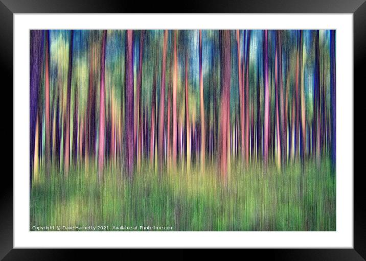 Through the Pines 2 Framed Mounted Print by Dave Harnetty