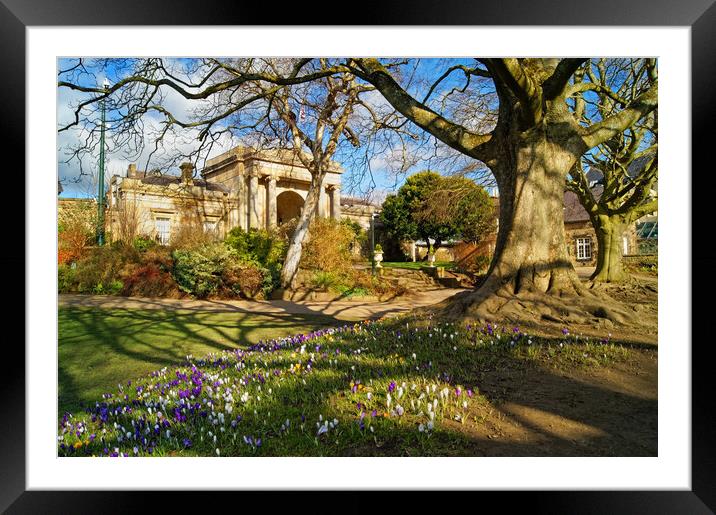 Sheffield Botanical Gardens in Spring Framed Mounted Print by Darren Galpin