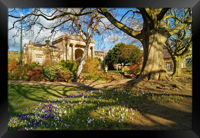 Sheffield Botanical Gardens in Spring Framed Print by Darren Galpin