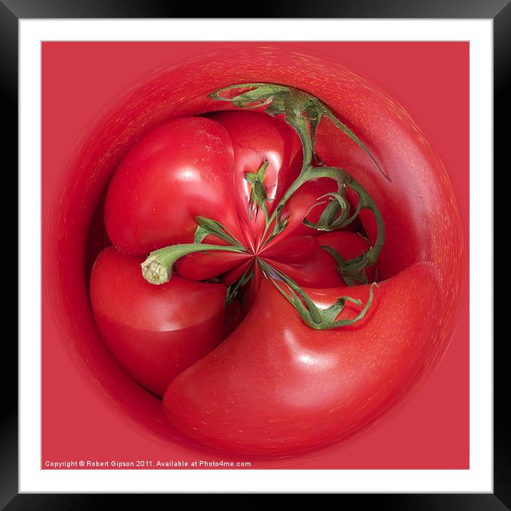Spherical tomatoes Framed Mounted Print by Robert Gipson