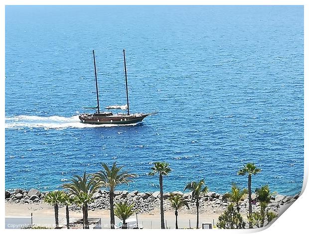 Sail on by gran canaria  Print by Martin Foster