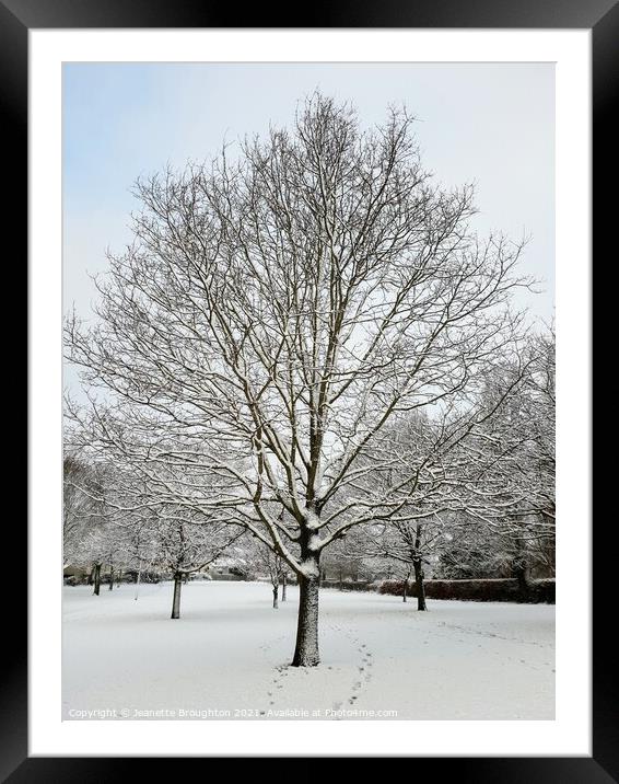 Snow Covered Tree Framed Mounted Print by Jeanette Broughton