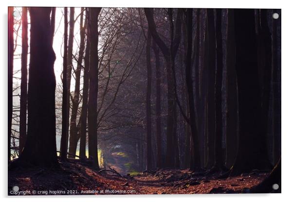 Shady woodland path Acrylic by craig hopkins