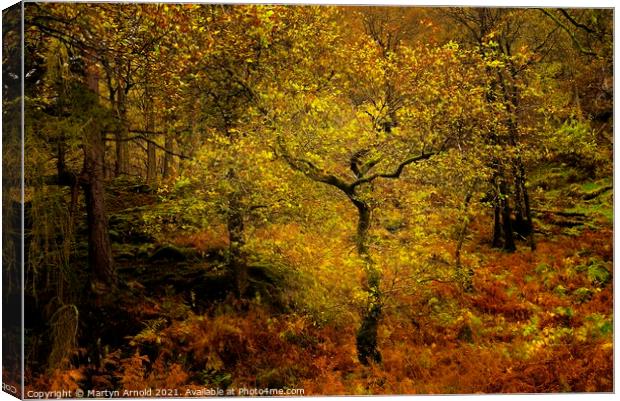 Autumn Woodland Canvas Print by Martyn Arnold