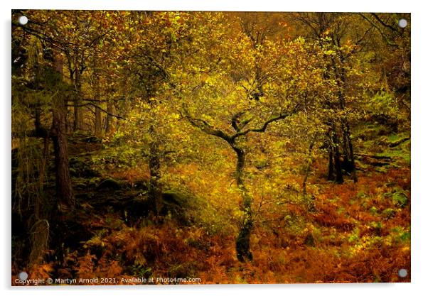 Autumn Woodland Acrylic by Martyn Arnold