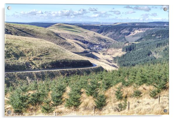 Majestic Views of Afan Valley Acrylic by Peter Thomas