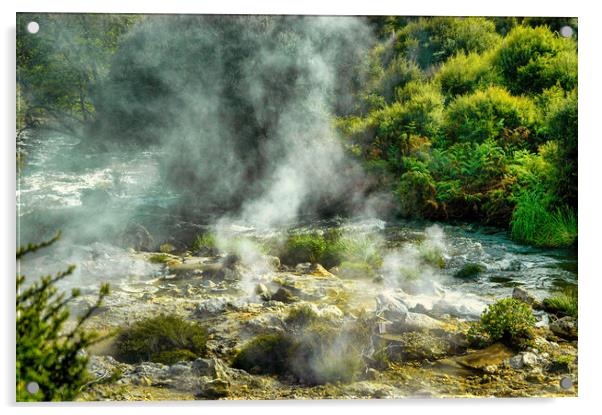 Hot Mud Springs, Rotorua, New Zealand Acrylic by Mark Llewellyn