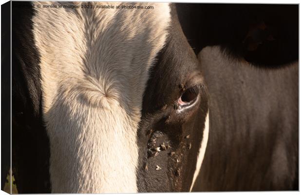 Close-up on the eye of a Holstein cow Canvas Print by aurélie le moigne