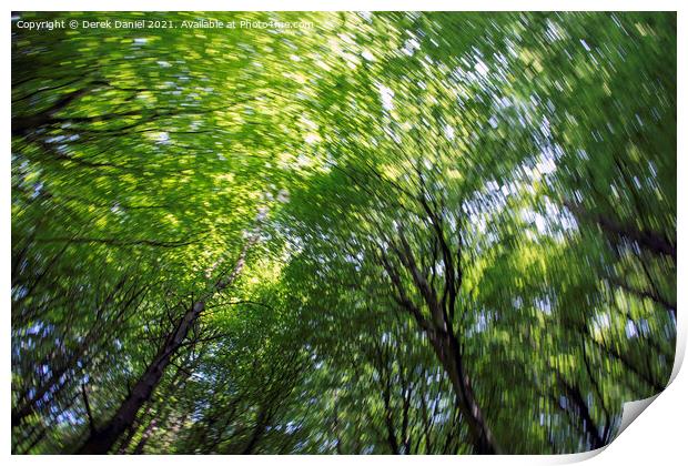 Looking Up Into The Trees Print by Derek Daniel