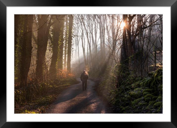 A walk in a woodland wonderland Framed Mounted Print by John Finney