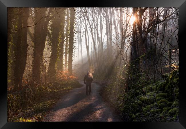 A walk in a woodland wonderland Framed Print by John Finney
