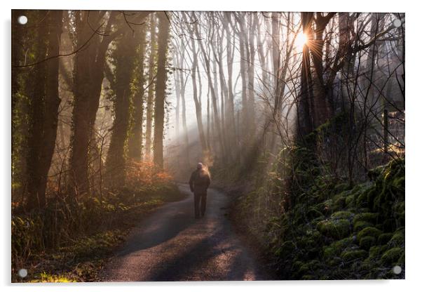 A walk in a woodland wonderland Acrylic by John Finney