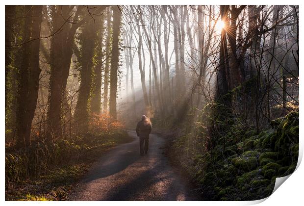 A walk in a woodland wonderland Print by John Finney