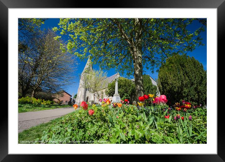 All saints church Huntington York in spring time. 363  Framed Mounted Print by PHILIP CHALK