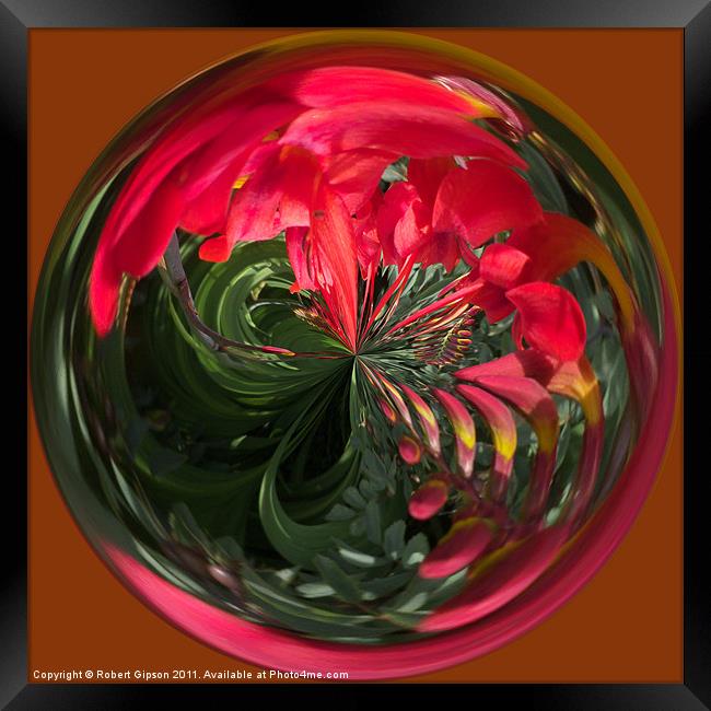 Spherical Paperweight Flowers and colours Framed Print by Robert Gipson