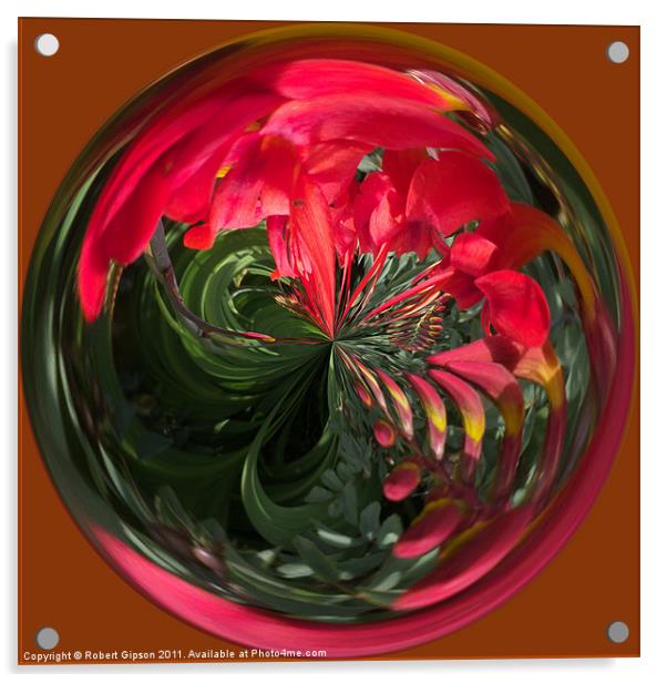 Spherical Paperweight Flowers and colours Acrylic by Robert Gipson