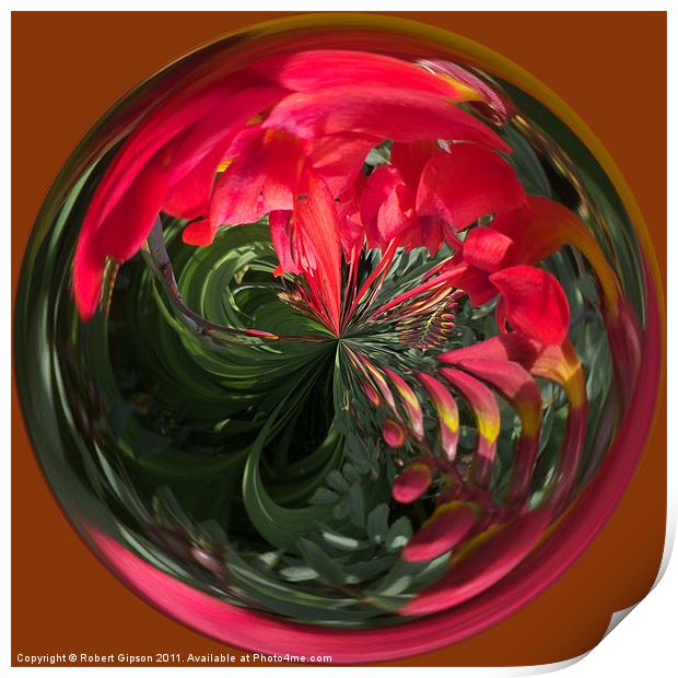 Spherical Paperweight Flowers and colours Print by Robert Gipson