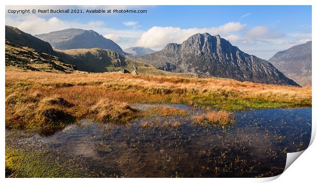 Snowdonia Uplands and Tryfan Wales Print by Pearl Bucknall