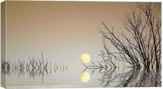 A Moon on the Water Canvas Print by Dave Harnetty