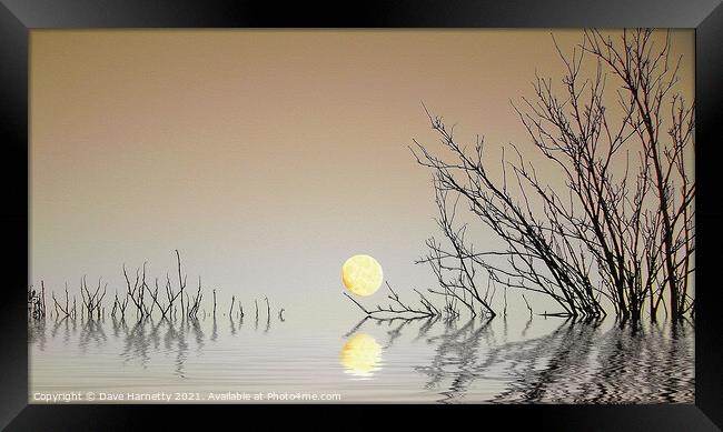 A Moon on the Water Framed Print by Dave Harnetty