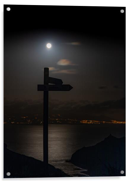 Signpost by moonlight Acrylic by David O'Brien