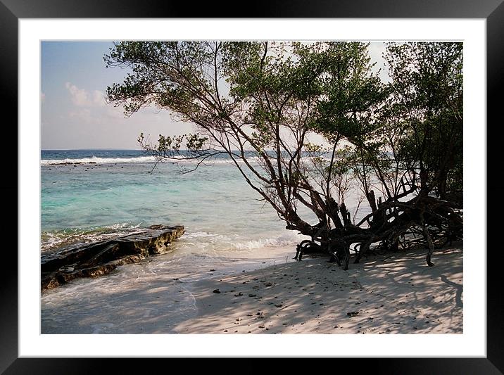 natural beach Framed Mounted Print by Hassan Najmy