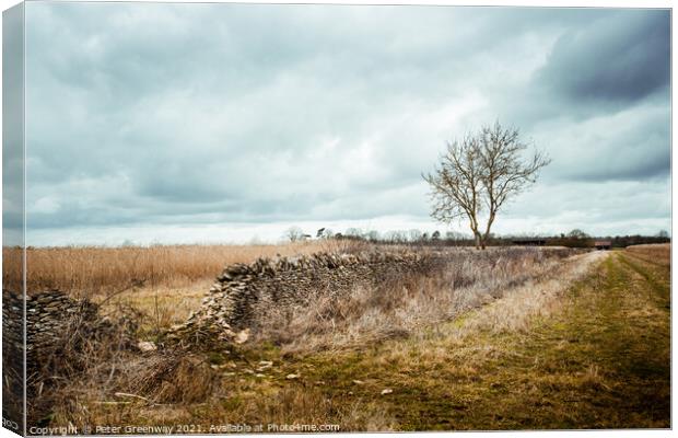 Fallen Down Wall In The Rural Oxfordshire Countrys Canvas Print by Peter Greenway