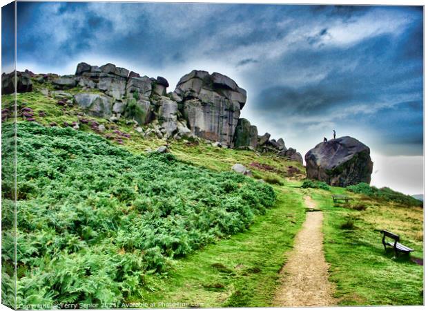 "Cow and Calf", a large rock formation consisting  Canvas Print by Terry Senior