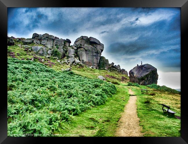 "Cow and Calf", a large rock formation consisting  Framed Print by Terry Senior