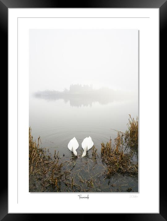     Team work,  makes the dream  work, Linlithgow, Scotland. Palace, Queen, Swans, lake Framed Mounted Print by JC studios LRPS ARPS