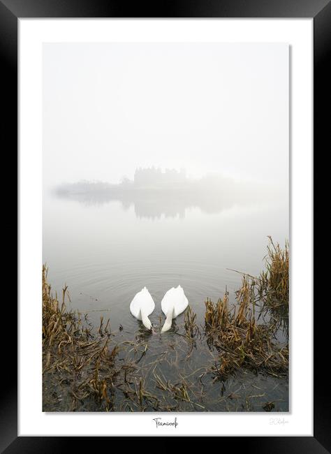     Team work,  makes the dream  work, Linlithgow, Scotland. Palace, Queen, Swans, lake Framed Print by JC studios LRPS ARPS