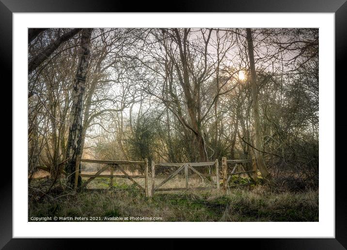 Hatfield Forest Framed Mounted Print by Martin Yiannoullou