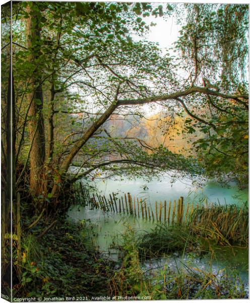Forgotten Corner, Weald Country Park #2 Canvas Print by Jonathan Bird