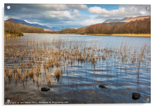 Ben Lomond from Dubh Lochan Acrylic by Jim Monk