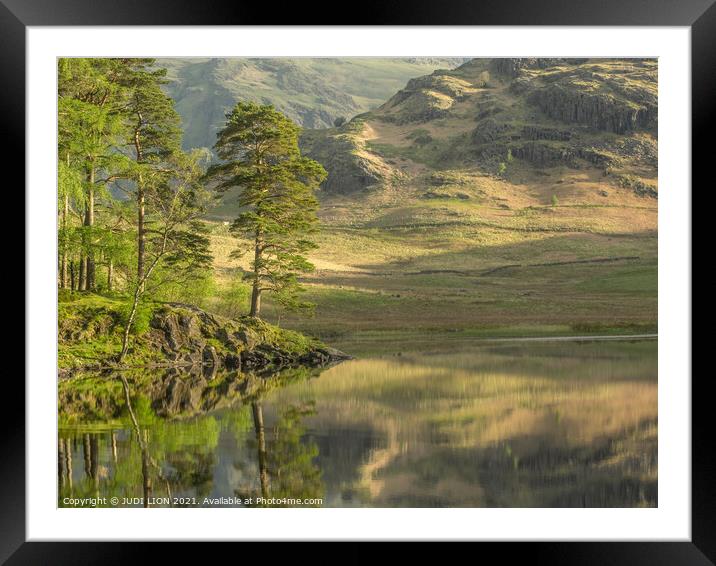 Reflection at Blea Tarn Framed Mounted Print by JUDI LION