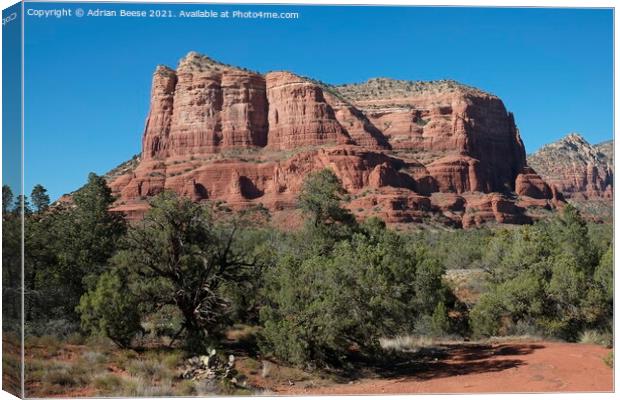 Red Rock Trees Mountain, Sedona Canvas Print by Adrian Beese