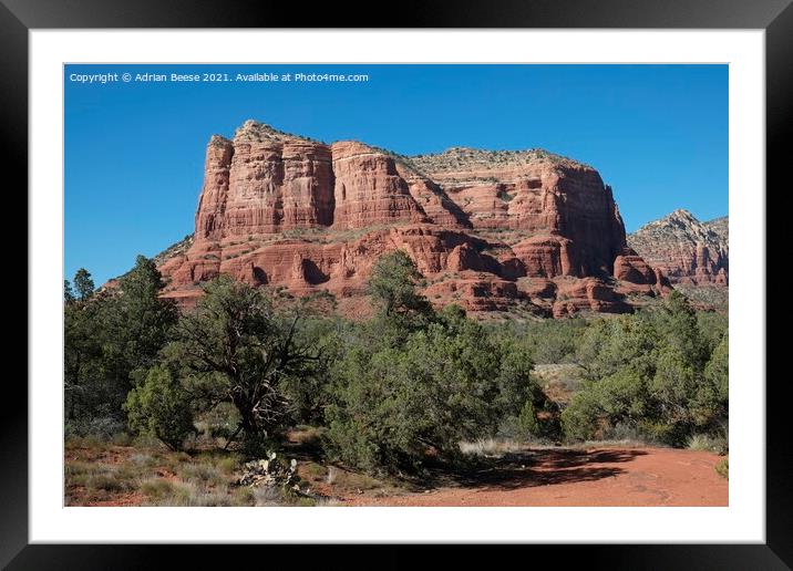 Red Rock Trees Mountain, Sedona Framed Mounted Print by Adrian Beese