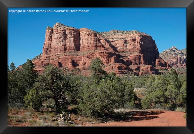 Red Rock Trees Mountain, Sedona Framed Print by Adrian Beese